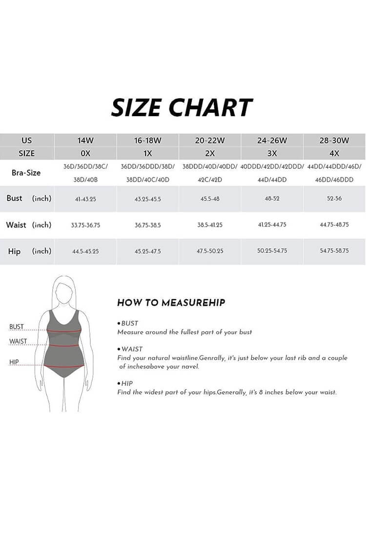 Women's Plus Size Tankini Swimsuit Two Piece Bathing Suits
